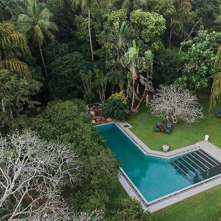 Horathapola Estate Hotel Marawila Ngoại thất bức ảnh