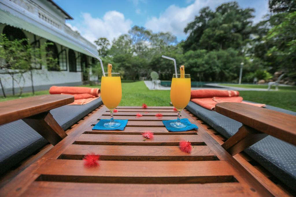 Horathapola Estate Hotel Marawila Ngoại thất bức ảnh