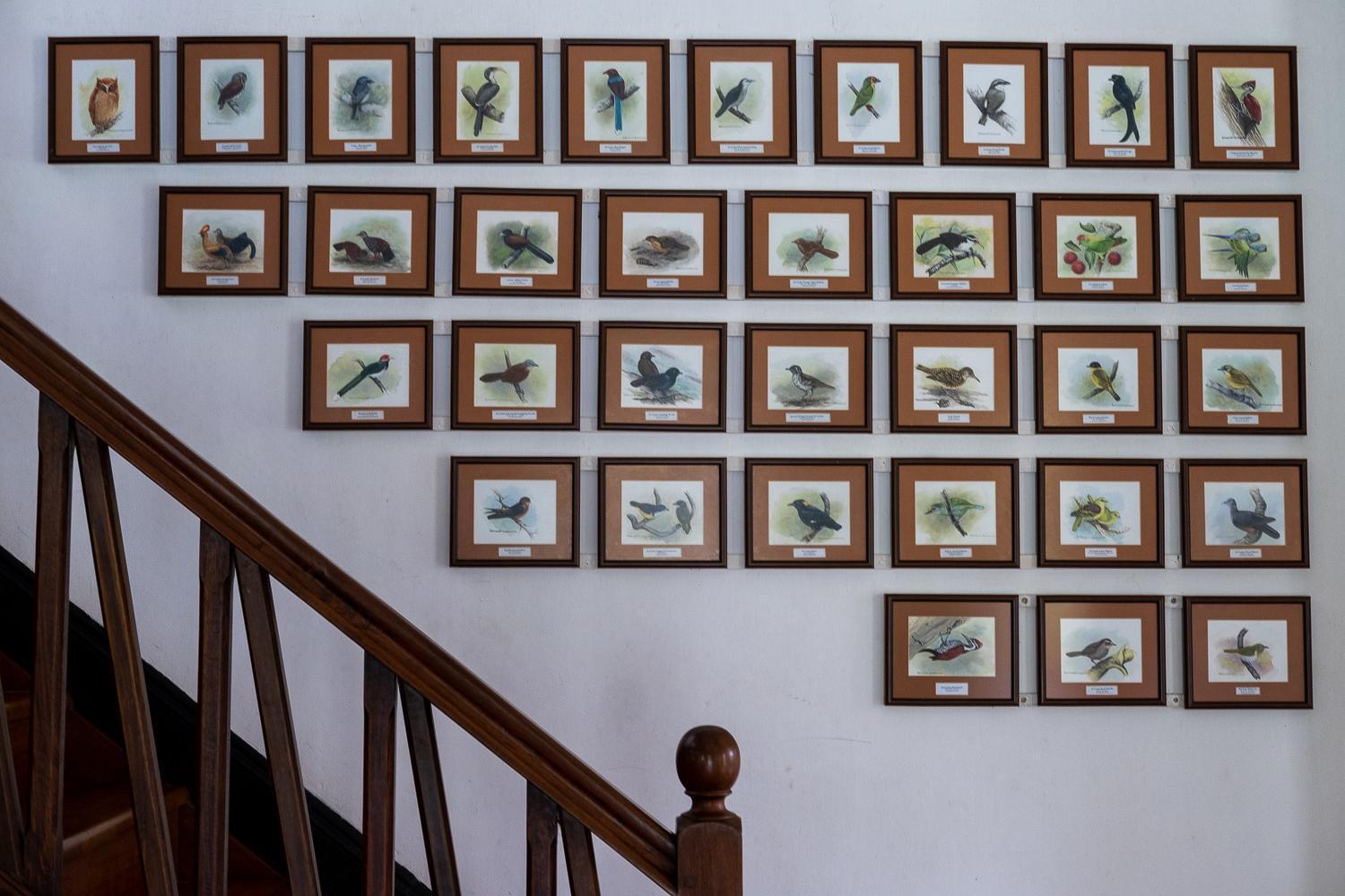 Horathapola Estate Hotel Marawila Ngoại thất bức ảnh